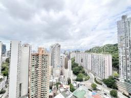 The Signature image 2