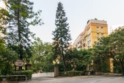Woodland Gardens image 8