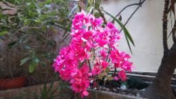 19 to 21 Sands Street image 10