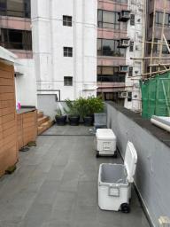 49 Elgin Street image 10