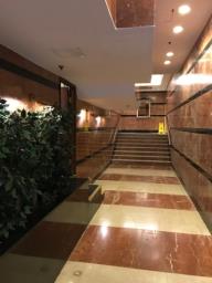 Bel Mount Garden image 9