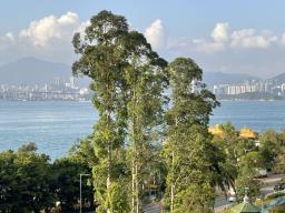 Kelley Court image 1