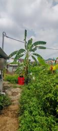 Kwan Tei Village Near Faling image 4