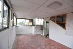 Maple Garden image 5