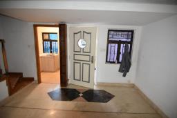 Maple Garden image 3