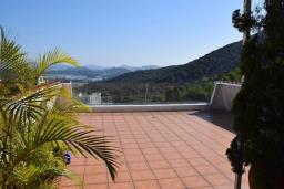 Tai Lam Wu image 8