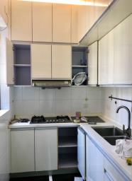 The Belchers image 8