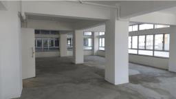 Hollywood Commercial House image 3