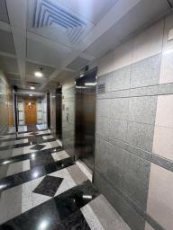 Strand 50 image 4