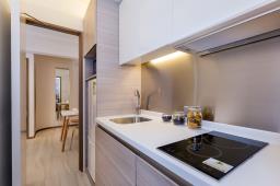 The Camphora image 1