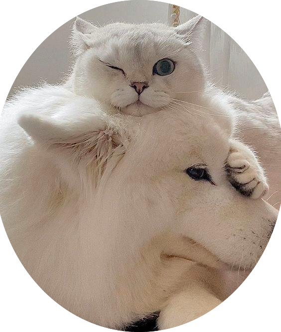 Vivian S Chow