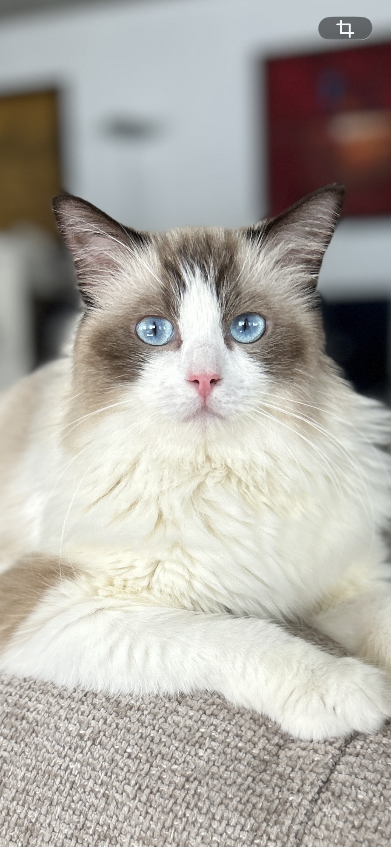 Sam