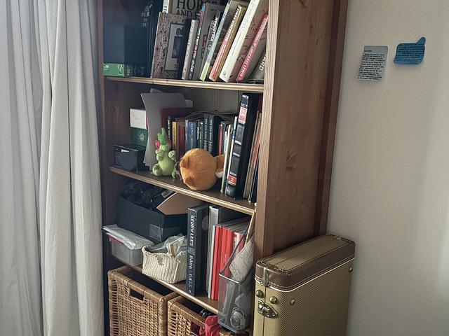 IKEA Bookshelf