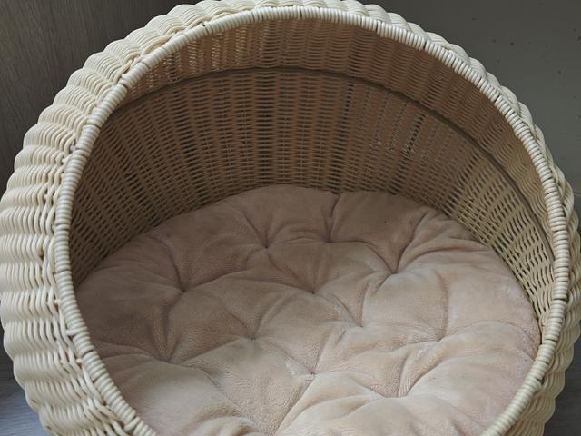 Pet Basket