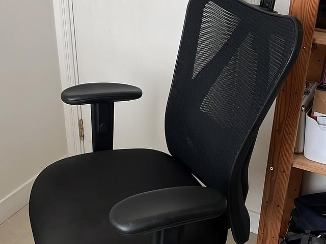 Ergonomic Mesh Office Chair with Headrest