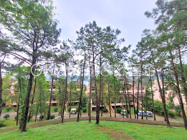 Beach Village - Seabird Lane | Beach Village -