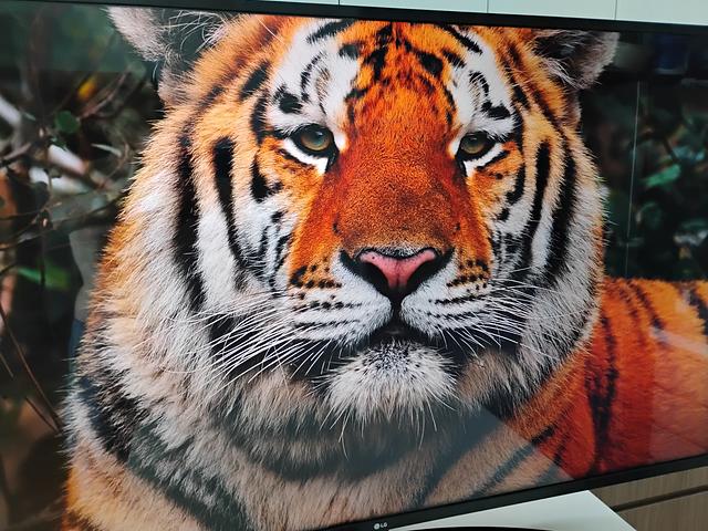 LG 55 inch TV in excellent condition 