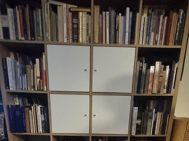Two IKEA bookcases