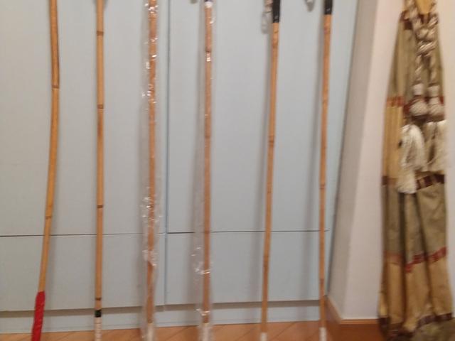 Polo sticks, bag