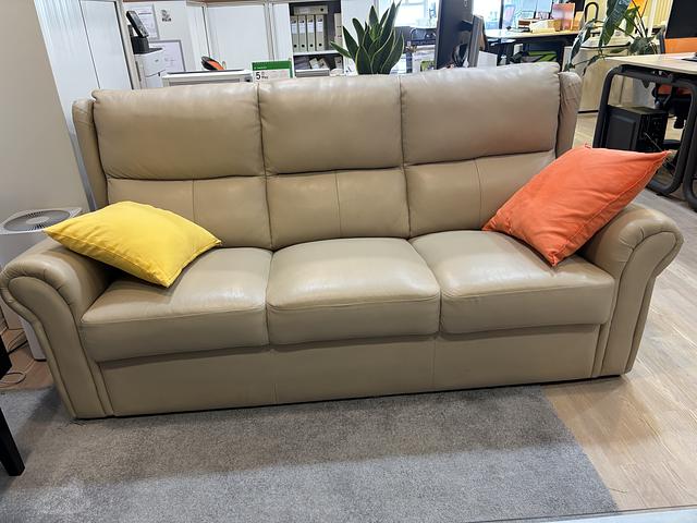 Light Grey 3-seat Leather Sofa ($500)