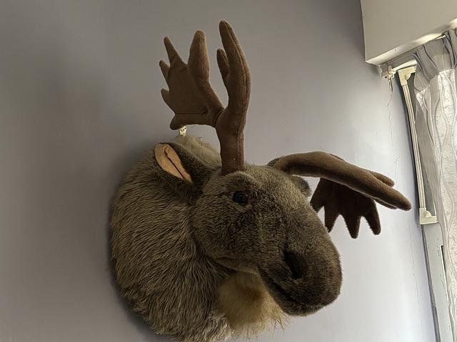 Wall Decoration ($150)