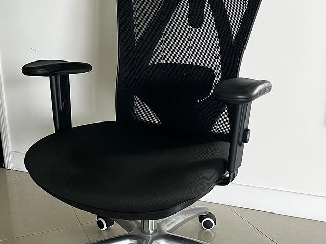 Work / Study / Gaming Chair