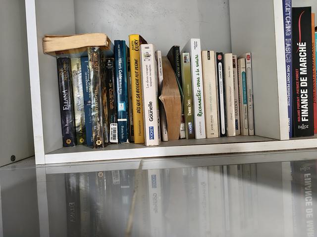 Frence( English) language books free 