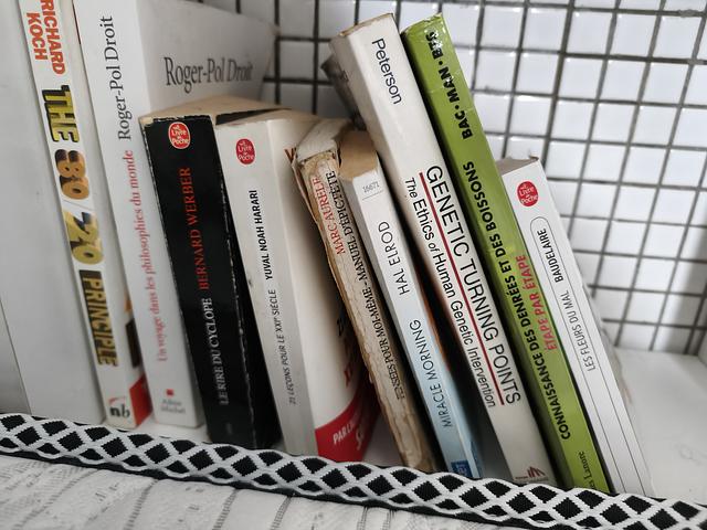 Frence( English) language books free 