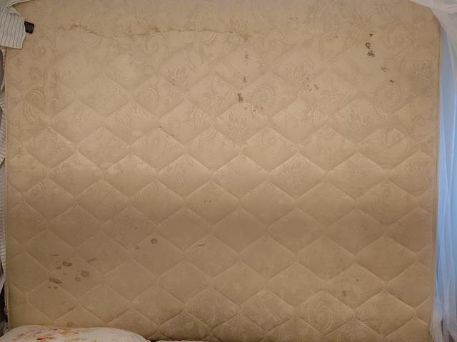 Free King Coil mattress