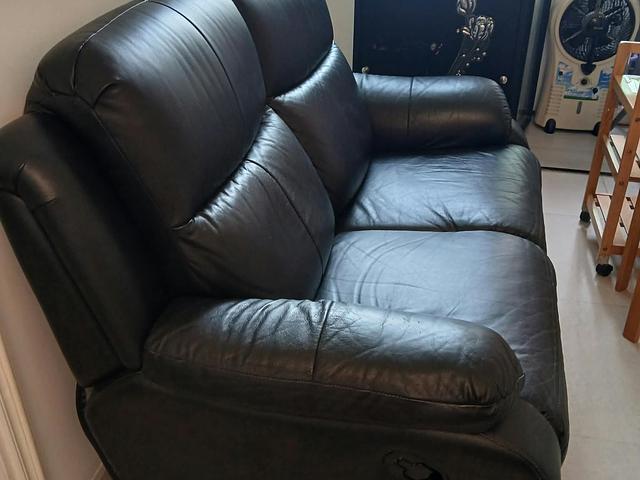 2 Seats Leather Sofa