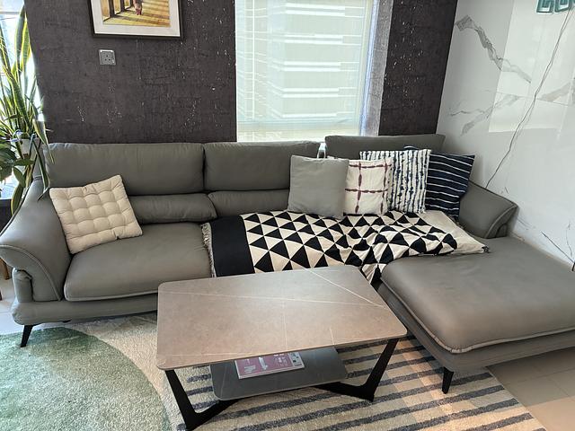 L Shape Sofa and Coffee Table Set 