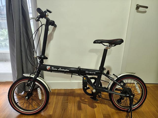 Tonino Lamborghini 16" Folding Bike