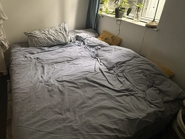 Queen sized cream grey bed frame and mattress Ikea