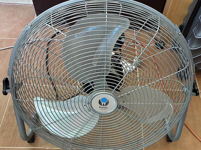 Fan