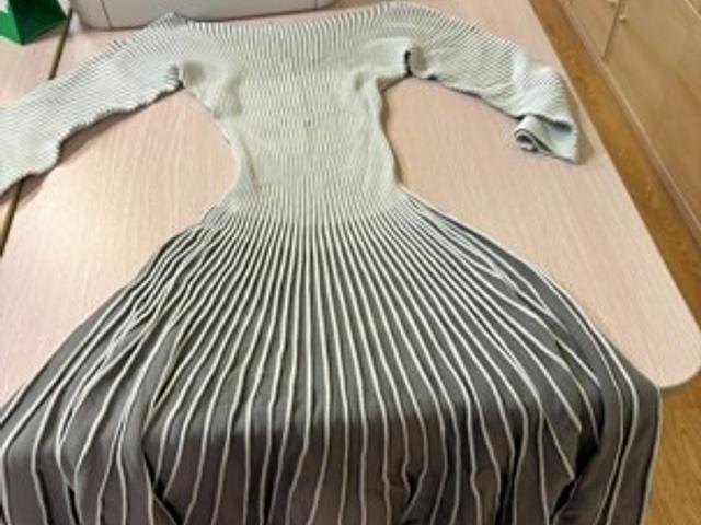 Emporio Armani Dress (HK$300)