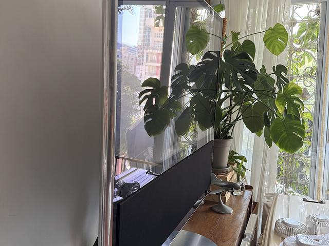 BANG & OLUFSEN
