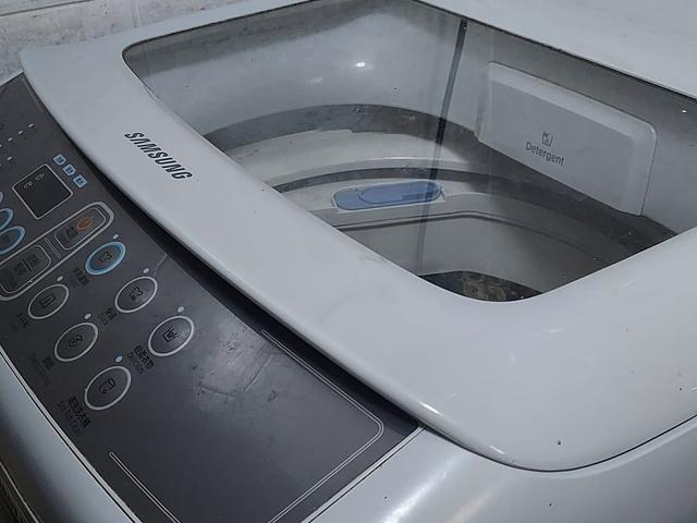 Wasging Machine & Dehumidifier