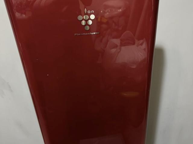 Sharp Air Purifier ($100)