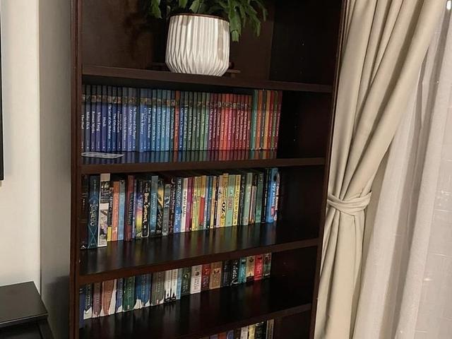 Book Shelves - 2 pcs