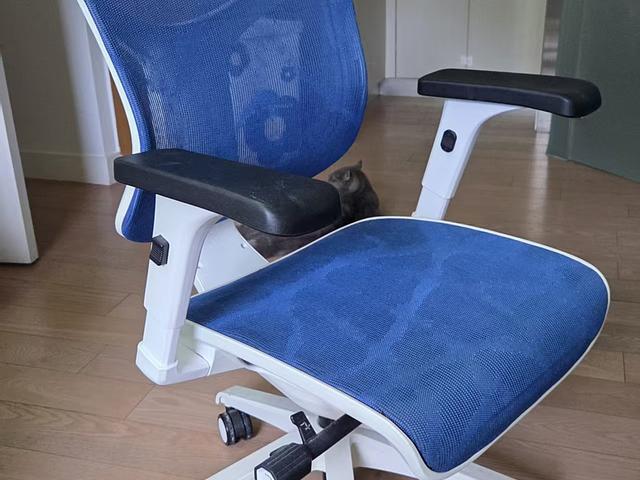 Moving sale
