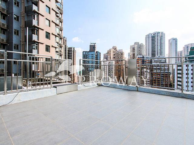 Penthouse & Rooftop opposite HKU (3 month rental)