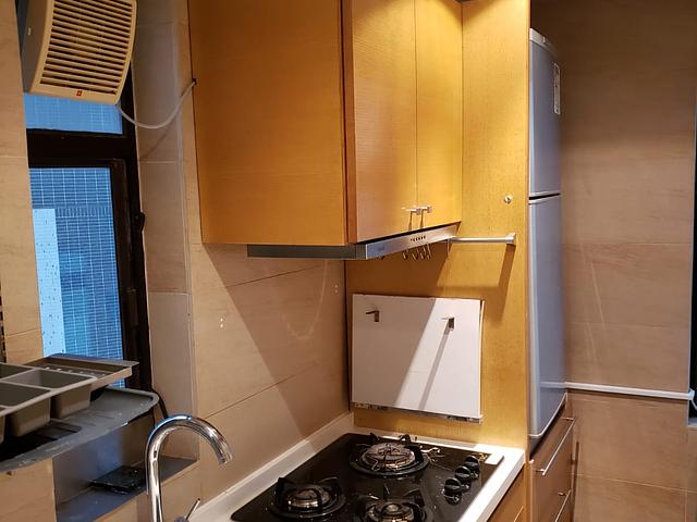 Penthouse & Rooftop opposite HKU (3 month rental)