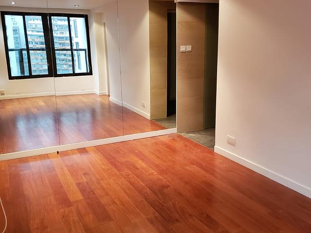 Penthouse & Rooftop opposite HKU (3 month rental)