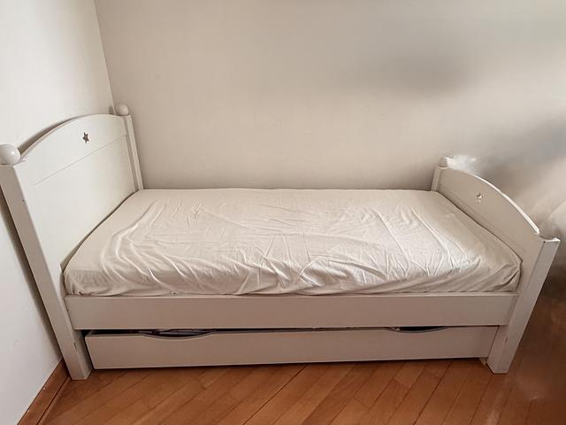 Indigo Living Trundle Bed. 