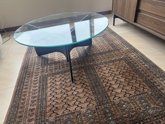 Coffee Table (5 months old)