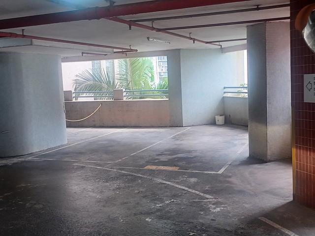 covered carparks No.6 Park road/Bonham road