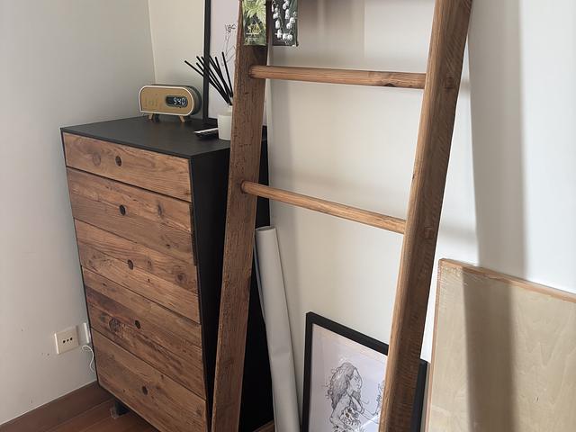 Leaning Ladder Rack 