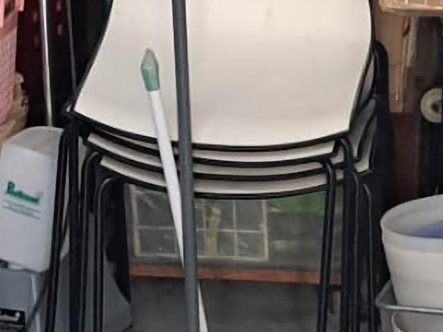 Dinning chairs
