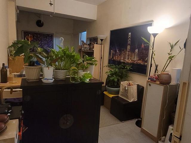 Shared a flat 
