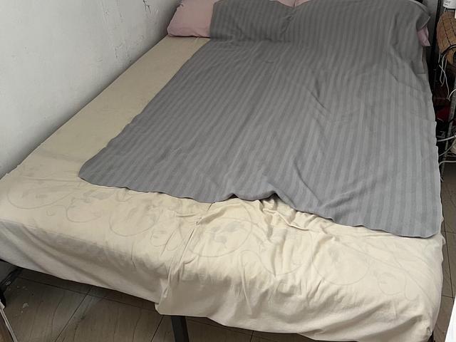 IKEA Bed frame (light)